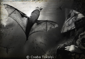 A fantasy scene where at bat-winged sharks roam about ove... by Csaba Tokolyi 